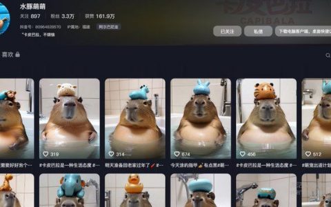 卡皮巴拉AI小视频，1月6日起号，20天3万粉