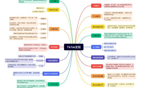 TikTok变现全攻略：思维导图详解与落地策略