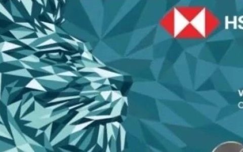 速码！2025最新汇丰蓝狮子卡内地使用攻略，轻松实现支付自由