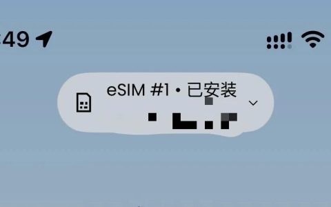 年付 6.99 美元，拥有一个真正能用的 US 手机号